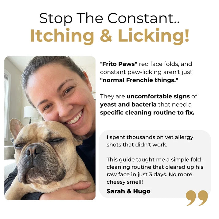 The Complete Frenchie Guide