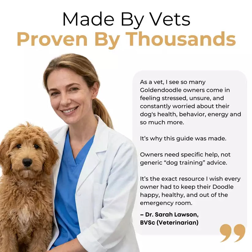 The Complete GoldenDoodle Guide