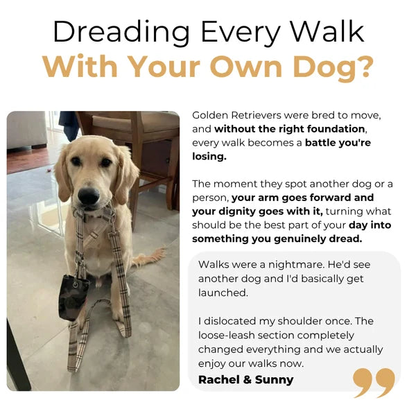 The Complete Golden Retriever Guide